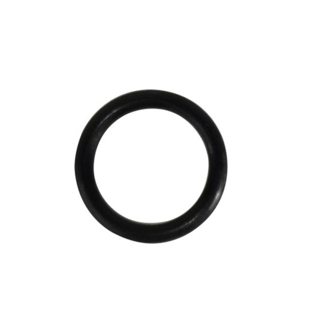 I-Flow O-ring 16.9 x 2.7 mm, Impex (12.01.10004)