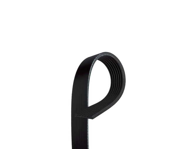 Нейлоновий ремінь для MVP-S, Reventa (12-520353)
