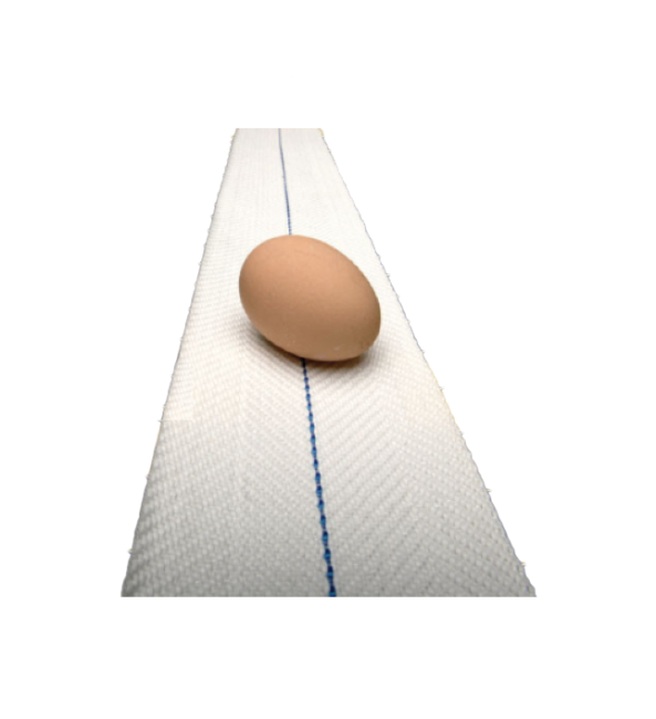 Egg collection conveyor belt Barbieri type SP, width 80 mm, NSPN080WH000