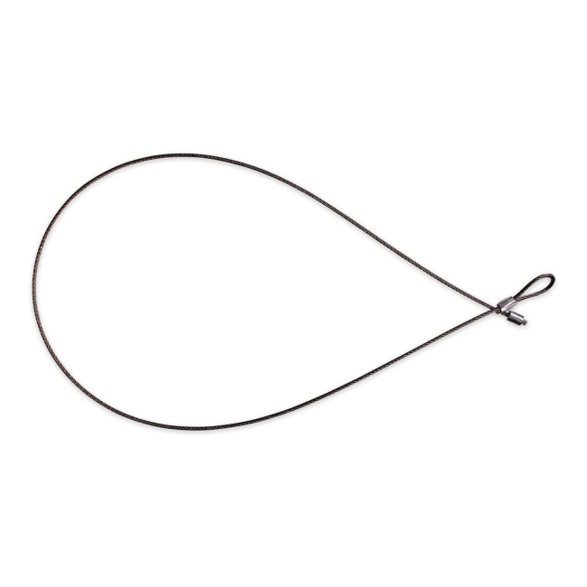 Big Dutchman Трос натяжний, нержавіюча сталь з вушком та круглим затиском. 83-08-2049