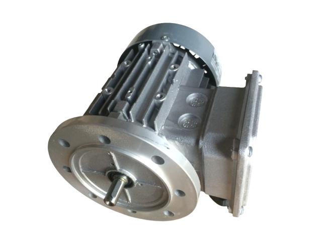 Roxell Мотор-B5-0.18KW-3X230/400V-50HZ для пересипання корму. 13601364