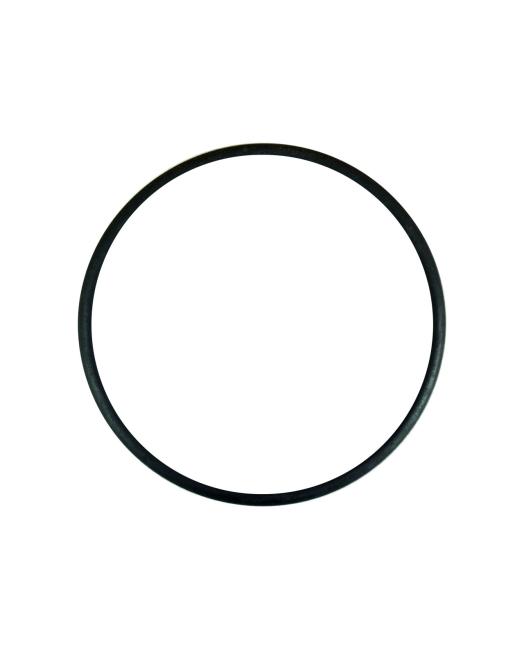 Dome housing seal JDI001 for Dosatron D3 (1002JDI001)