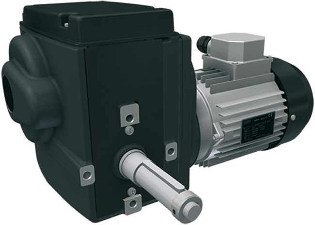 Редукторный мотор RW405-554003863C Ridder (533073)